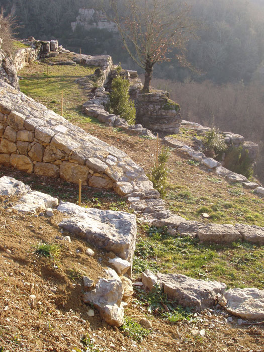 recatadou-figuier1-pt