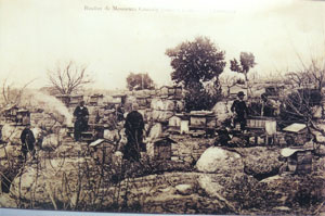 labeaume-ruche-chazaly