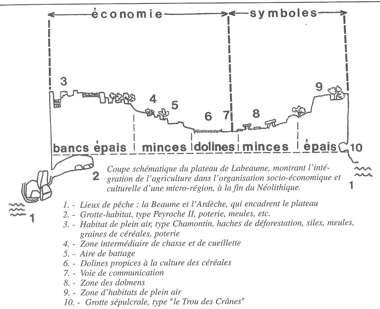 coupe-strat-labeaume
